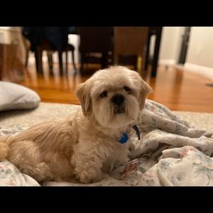 Meet your Posher, Zhen